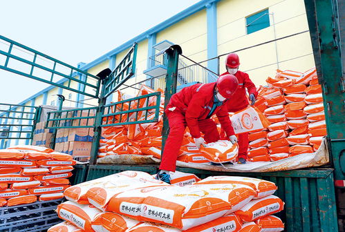 瞭望 扶貧要避免政策沒(méi)了,企業(yè)走了,項(xiàng)目黃了 專訪首農(nóng)食品集團(tuán)董事 首農(nóng)股份公司董事長(zhǎng)尹彥勛