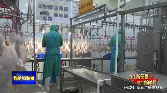 逆勢(shì)而上 煙臺(tái)企業(yè)穩(wěn)步挺進(jìn)海外市場(chǎng)